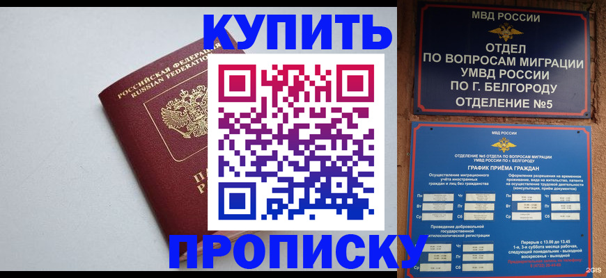 прописка регистрация в Владимире